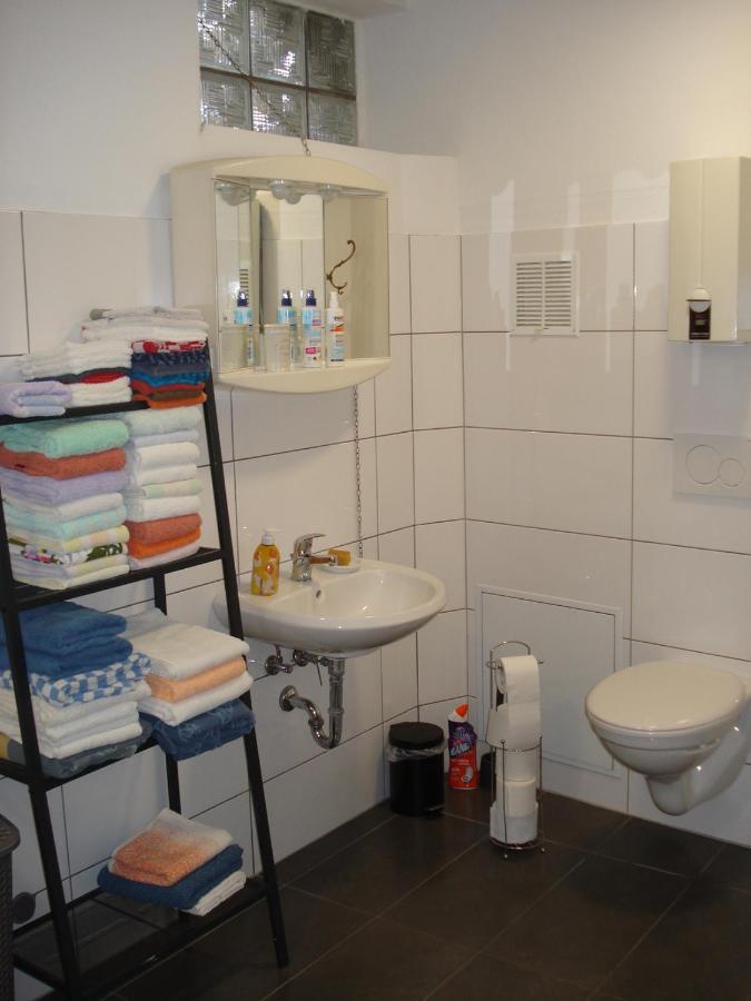 Appartement 45 Qm Mit Bad An Der Mosel - Naehe Koblenz Диблих Экстерьер фото